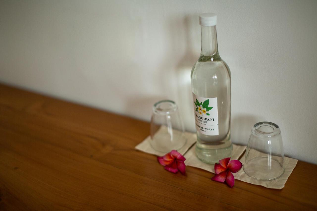 Frangipani House&Spa by ecommerceloka Canggu Eksteriør billede