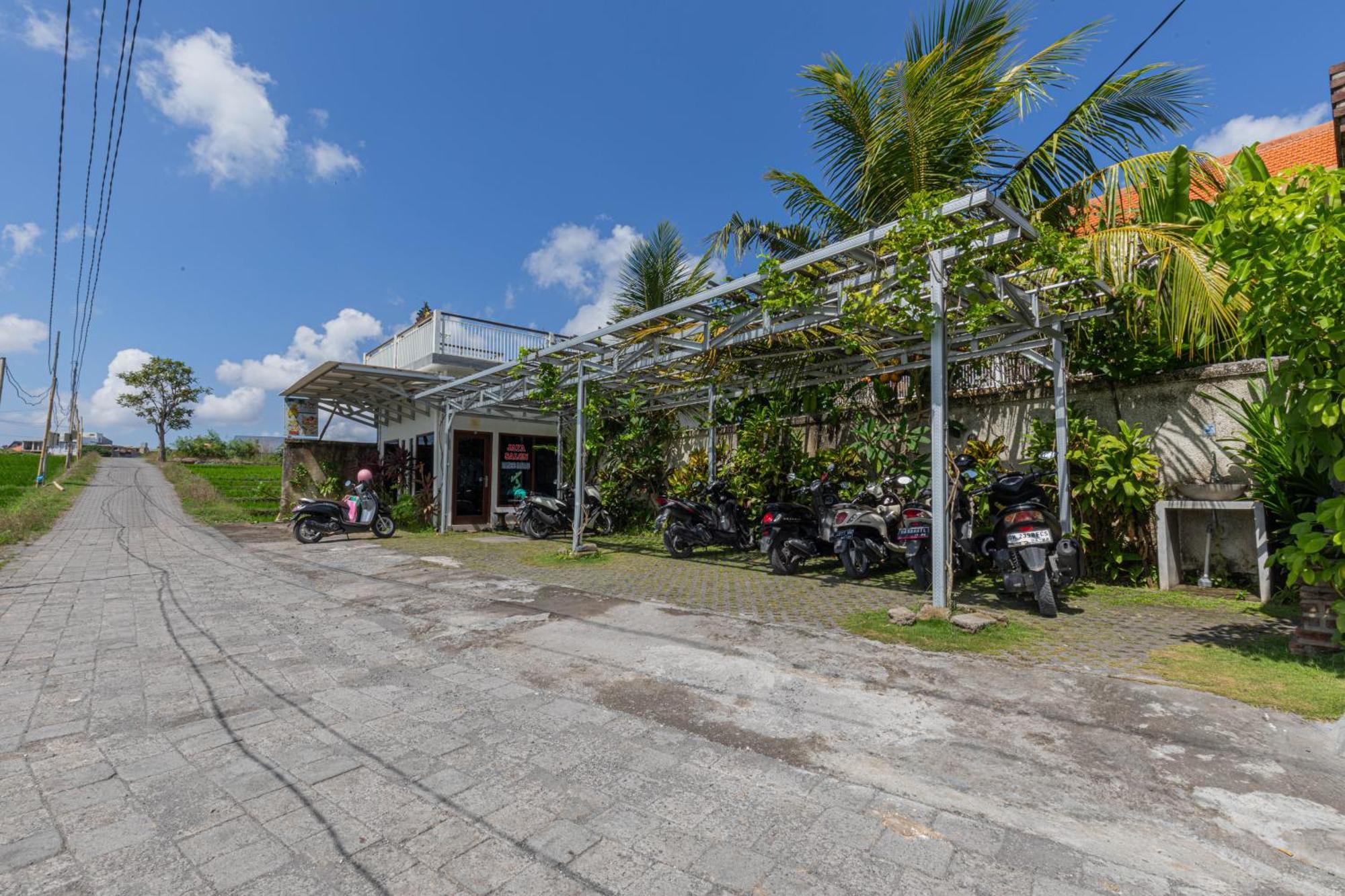 Frangipani House&Spa by ecommerceloka Canggu Eksteriør billede